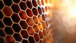 © Anat art - The detailed structure of a honeycomb, focusing on the hexagonal cells and warm colors of beeswax with light enhancing the texture.