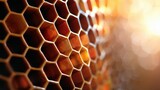 The detailed structure of a honeycomb, focusing on the hexagonal cells and warm colors of beeswax with light enhancing the texture.