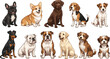 © Rakib - Diverse dog breed vector collection featuring cute illustrations of popular pets including corgi bulldog labrador and beagle.