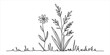 © Rimi Kailash Arts - Simple black and white line drawing of a wild flower and blades of grass with a hand drawn artistic sketch style for nature and garden designs Vector, illustration