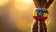 © João Macedo - Ethiopian flag bead adorning a dreadlock with golden light