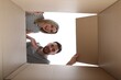 © New Africa - Couple looking into cardboard box on white background, view from inside package