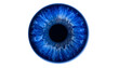 © Mochi - Vivid blue human eye, intricate iris patterns, and dark pupil centered