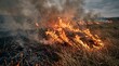 © Creative Concepts  - Dry grass burning wildfire spreading across field under cloudy sky