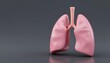 © Monster - Stylized 3D render of pink human lungs with trachea on a dark background