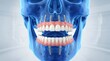 © Ali Jahan Siju - Dental implants and dentures - 3D human skull anatomy visualization