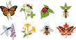 © Ali - Collection of colorful insects and flowers including butterflies bees ladybugs and dragonflies perfect for nature illustrations and educational materials