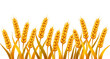 © mrpixel - grass, green, blades, wheat, golden, stalks, illustration, nature, agriculture, harvest, field, rural, botanical, plant, organic, countryside, floral