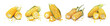 © Zizak - Simple, beautiful design, sliced corn set painting design. Hand-painted style, vectorized, vector set available in EPS Simple Hand-painted watercolor style.
