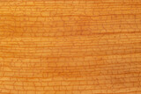 natural backdrop: close up of texture of dry leaf of orchid