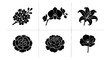 © MD - Elegant Black Floral Silhouettes, Set of 6 Vector Icons: Cherry Blossoms, Orchids, Lily, Carnation, Peony, Anemone for Design Elements