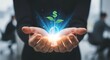 © mikael - Seed capital and startup investment. Cupped hands hold a hologram of a 'seed' from which a small dollar sign ($) sprouts, representing seed funding.