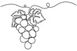 © Moshiur - Grapes continuous one line drawing minimalist fruit outline vector illustration.Grapes minimalist continuous line drawing decorative fruit outline vector.botanical fruit,elegant fruit sketch.