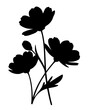 © Bakol - Black Cosmos Flower Silhouette Illustration Isolated on White Background