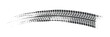 © Emon - Dark Gray Tire Track Brush Stroke Curve on White Transparent Background tire mark vehicle