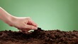 © Gak - A close up view of a human hand planting a small seed into dark fertile soil.