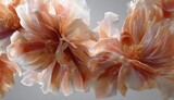 Close-up of Delicate Peach and White Flowers Floating in Water.