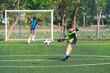 © chokniti - World cup concept with soccer ball or football player, soccer player kicking ball on green field with goal and net in sunny park