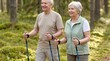 © Olga Ко - Happy senior couple doing Nordic walking with poles in the summer forest. Active retirement and healthy lifestyle concept
