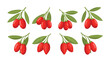 © hasan - Set of eight illustrations of goji berries on branches with green leaves, isolated on a white background.