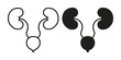 © nancy - Urology icon collection. Vector icon illustrated