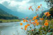 © Tetiana - Generative AI image of blooming daisies by a calm mountain river with soft hills and greenery in the background
