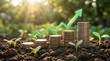 © Andi - Money growth concept with coins and growing plants