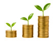 © Reder - Financial growth concept, rising gold coin stacks, green plant sprouts growing on money isolated on Transparent Background