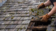 © Ronald Red - Roofer repairing old slate roof with moss. Man working on home exterior maintenance. Construction worker replacing damaged shingles on damaged wooden roof structure. Home renovation concept.
