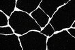 © vuang - Abstract black and white texture with bold cracked patterns.