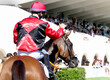 © Diego - Jockey ganador a caballo de carreras en hipódromo jinete celebrando triunfo y premio ganador con público con dedo pulgar arriba