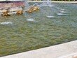 © Ena - A high angle view captures the ripples of the water surface inside the largemarble basin of the Latona Fountain. Water streams dynamically from themouths of gilded lead frog statues along the curved