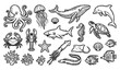 © MdHacib - Black and white sea creature outline doodle vector set with hand drawn marine animals