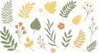 © St - A collection of various colorful leaves and flowers on white background in watercolor style for design and decoration purposes