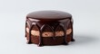 © Sayfar - Velvety dark chocolate ganache pours over a decadent two-layer mini cocoa cake featuring a light mousse filling on a minimalist background, studio, vertical, close-up