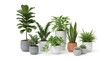 © Samady - A collection of various potted plants arranged in a semi-circle on a white surface. The plants include different species with varying leaf shapes and sizes, housed in modern