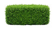 © Vella - Rectangular Manicured Green Garden Hedge Bush Isolated