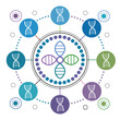 © Angur - Abstract genomic communication diagram with connected DNA molecule icons