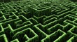 © Kadal - Green maze illustration