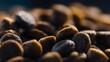 © DasObstsammler - Premium dry dog food kibble pile focusing on texture and canine nutrition