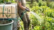 © Stitch - Woman watering vegetable garden with hose connected to large rain water harvesting tank