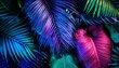 © Benjamin - creative fluorescent color layout made of tropical leaves flat lay neon colors nature concept