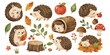 © dian's - watercolor cute autumn hedgehog forest collection