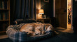 © INT888 - Sleeping dog cozy room dark interior warm lamp quiet home pet bed canine rest relaxed pet indoor scene blanket