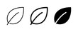 © Sohana - Leaf Icons Set: Outline, Line Art, and Solid Fill Vector Graphics for Nature and Ecology Themes