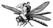 © AnjaliDesai - Bride and groom riding giant dragonfly in retro engraving style