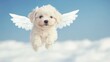 © tashechka - Cute puppy with wings flying in a blue sky above soft clouds