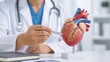 © sukarman - Doctor Explaining Human Heart Anatomy Model During Cardiology Consultation