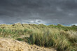 © Vitaliy - Coastal sand dunes with Marram grass under a dramatic dark sky at Ballyheigue beach, County Kerry, Ireland.