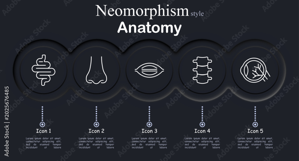 Anatomy set icon. Neomorphic circular interface line icons with ...